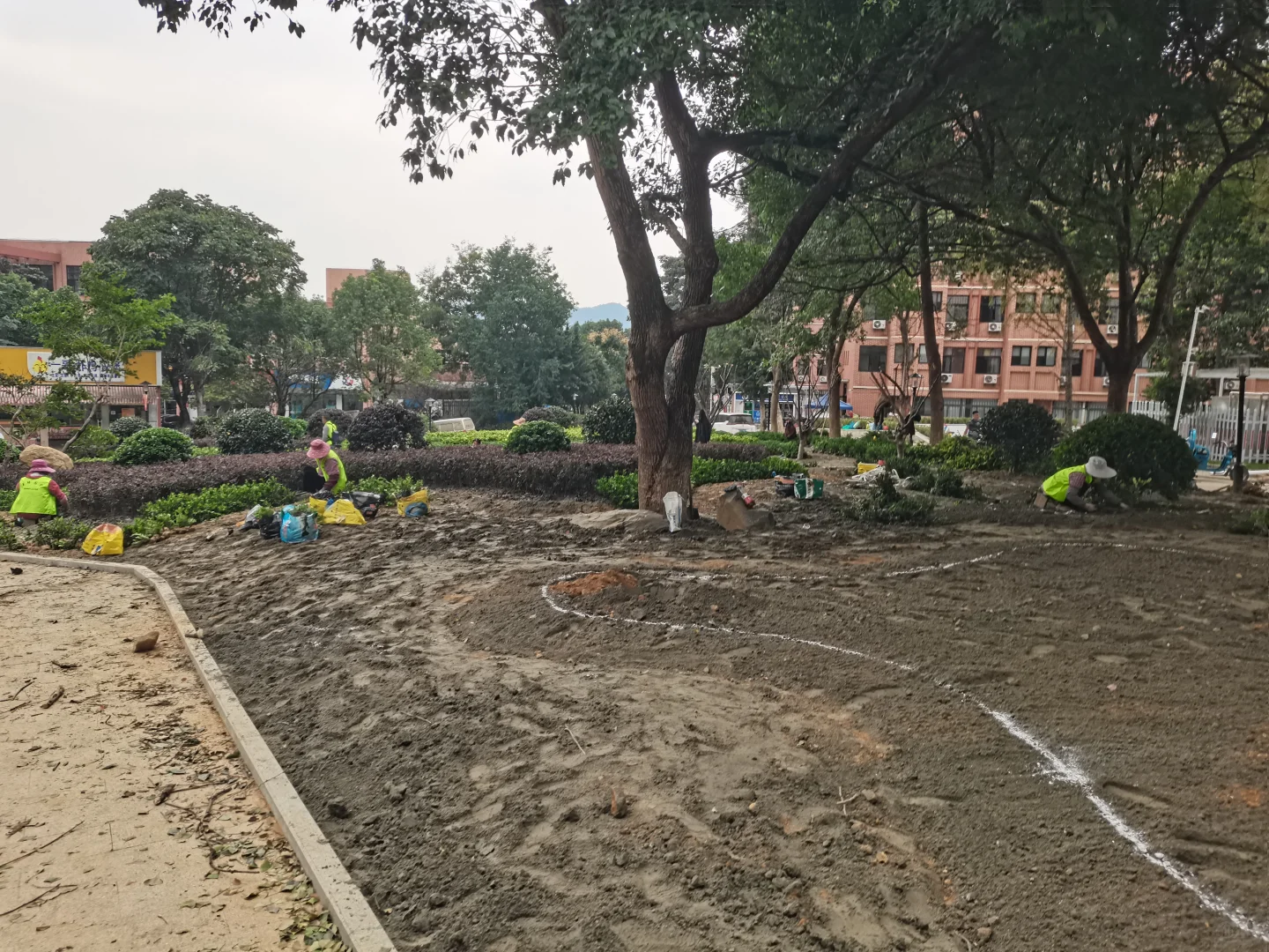 秋季是树木修剪施肥种植季节，来年长势更好
