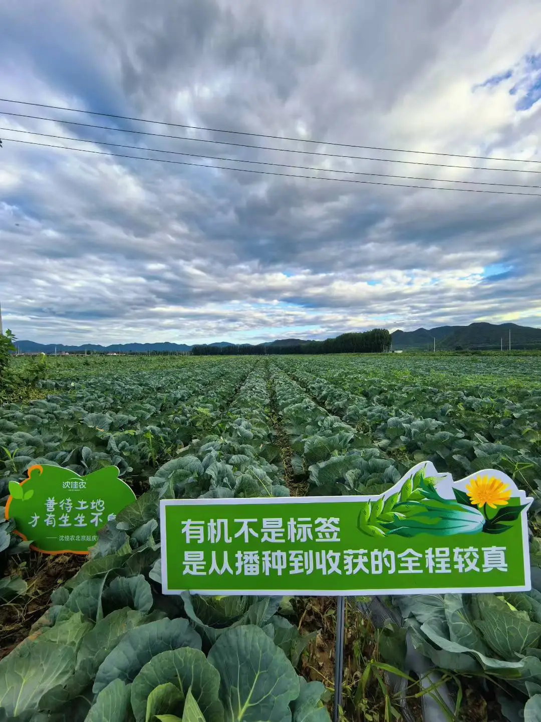 超5000亩有机种植基地