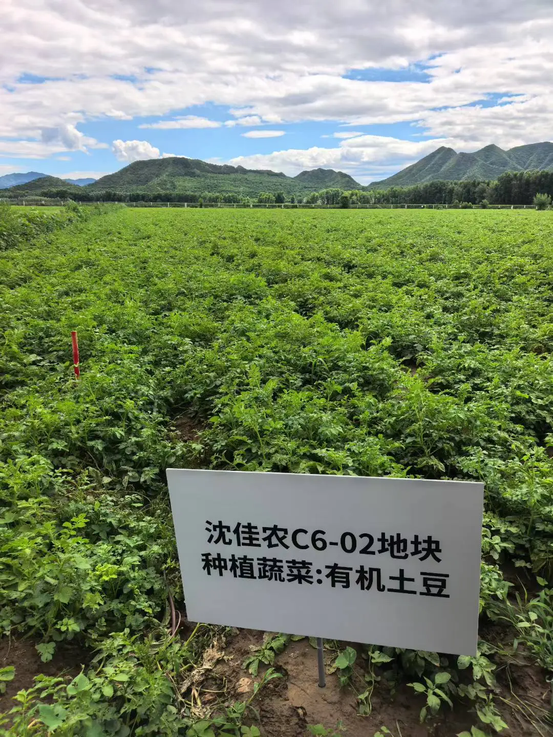 超5000亩有机种植基地