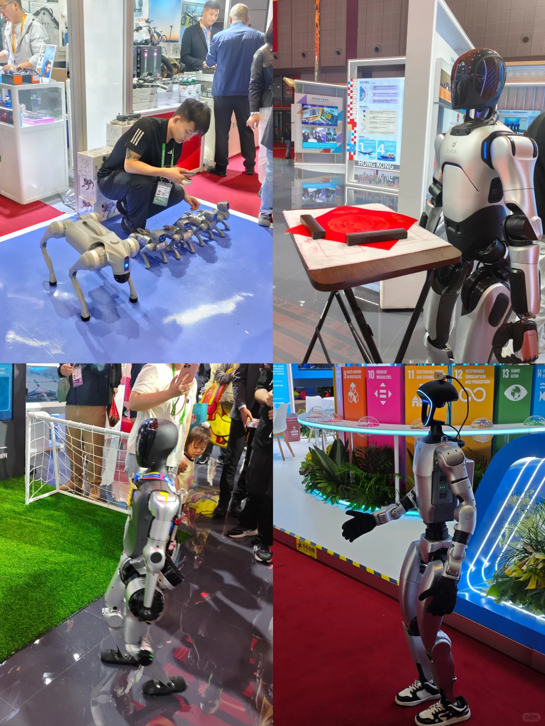 11.8进博会观展交作业啦！