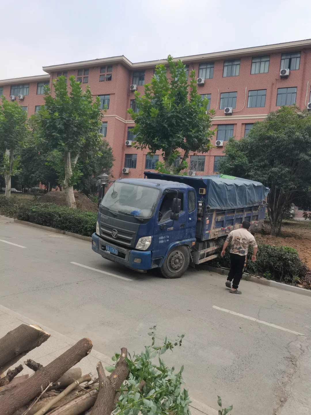 秋季是树木修剪施肥种植季节，来年长势更好