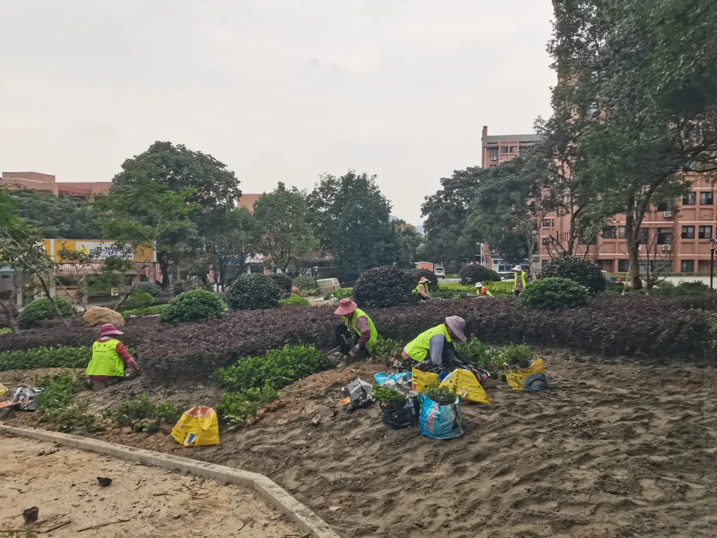 秋季是树木修剪施肥种植季节，来年长势更好