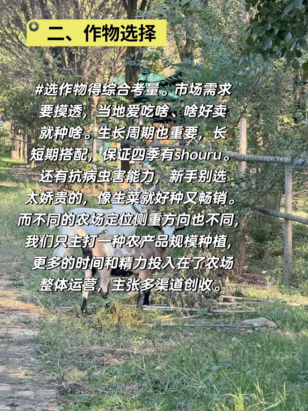 搞农场两年，这些经验你一定要知道