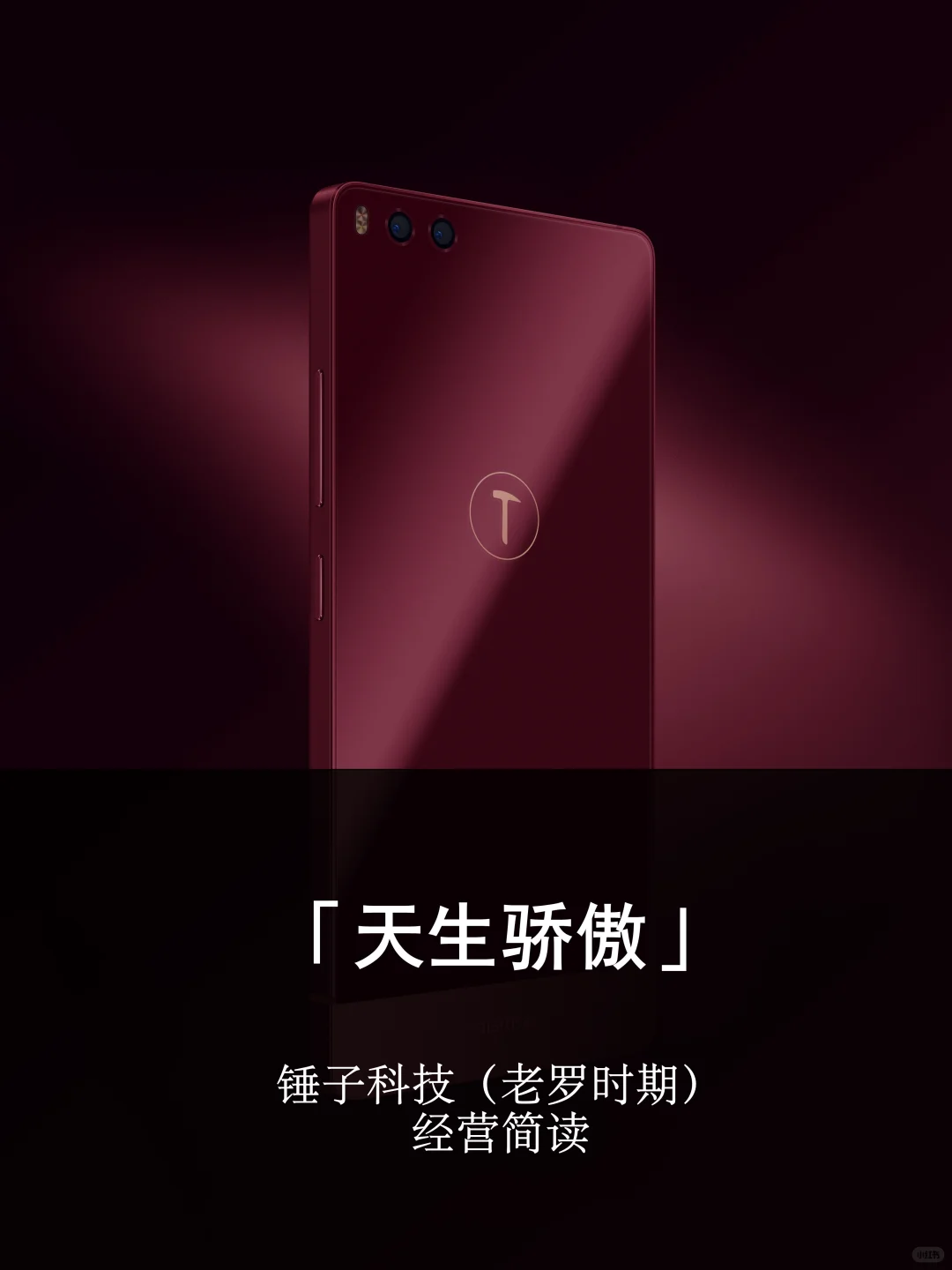 多年后，实习律师锤友如何看待锤子科技？（上）