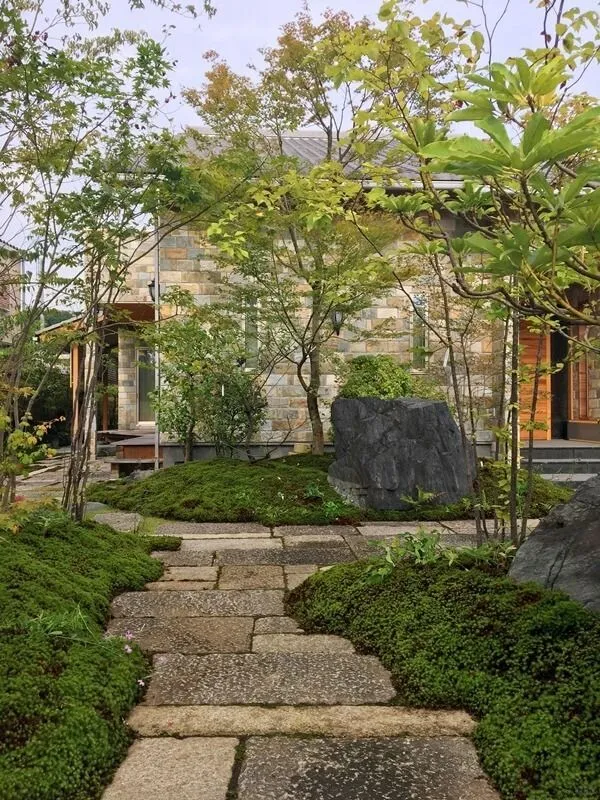 杂木庭院苗木选型纪要 | 柔美 飘逸 清雅