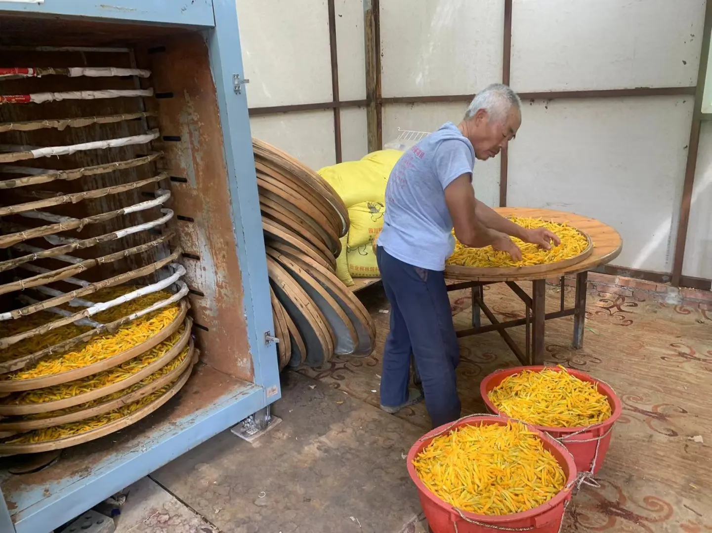 乡村振兴 ｜硕果累累