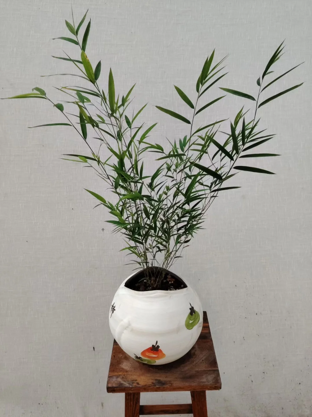 自家花棚大甩卖了！爱花的朋友请看！