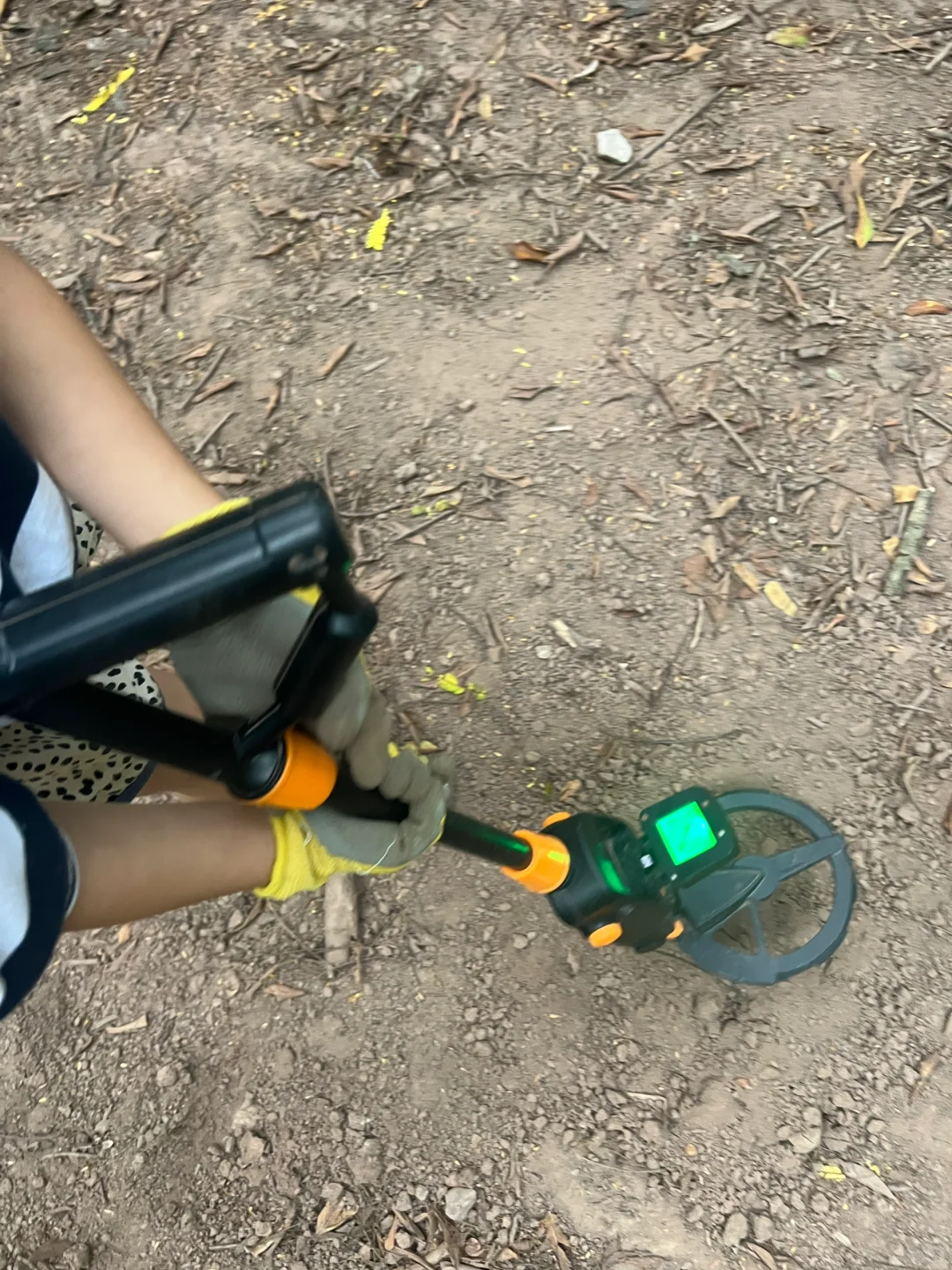 金属探测仪确实好玩