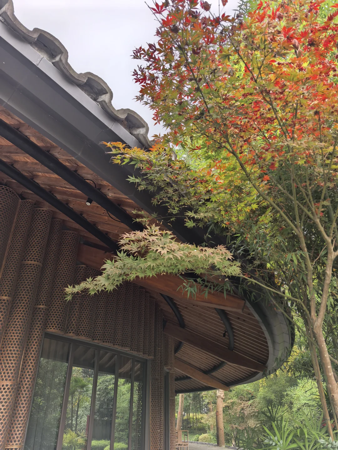 再次感受成都美丽乡村后有感