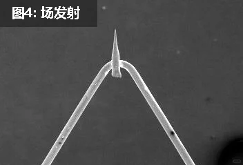 影响SEM成像的参数！你都了解吗？