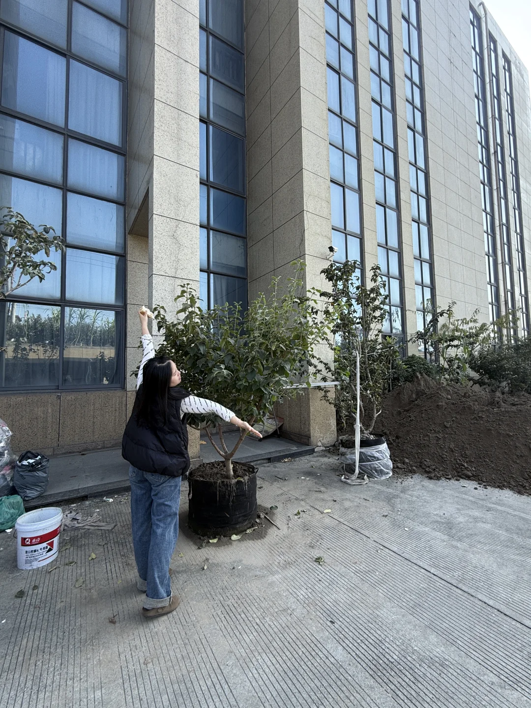 谁会拒绝❌三百不到的中华木绣球呀！