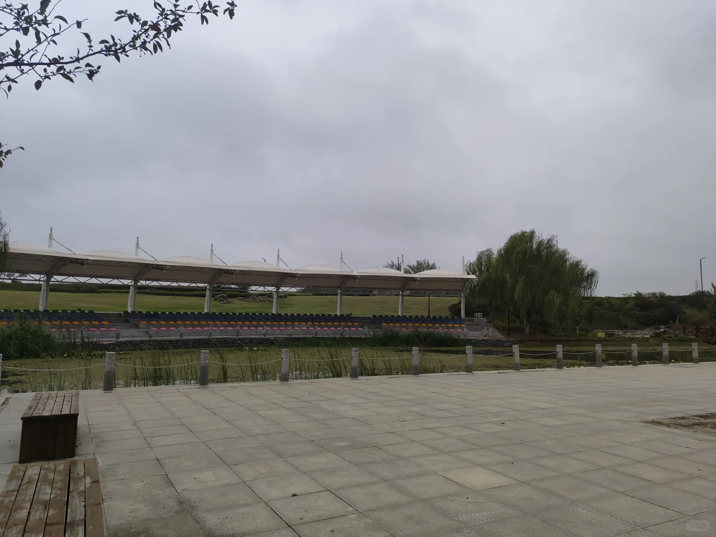 一起搞钱+免费住宿！婚礼及宠物主理人招募