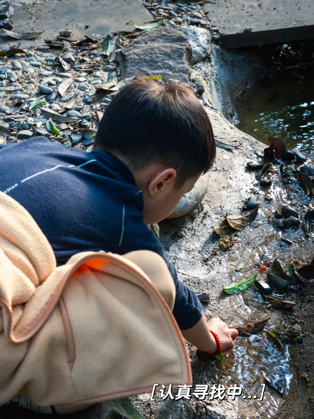 重庆遛娃|梦想照进现实，拿着探测器寻宝
