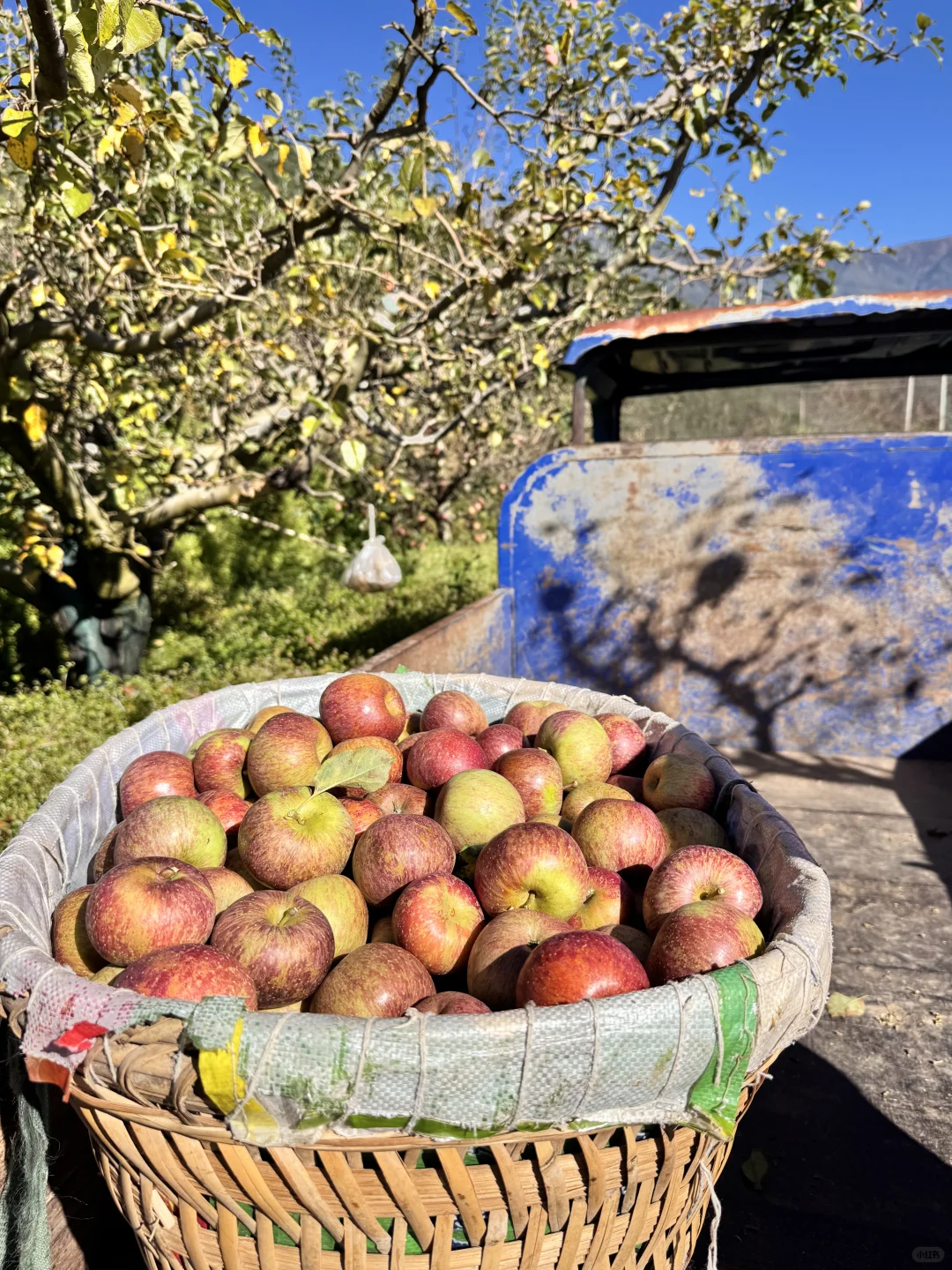 一辈子都是三农人