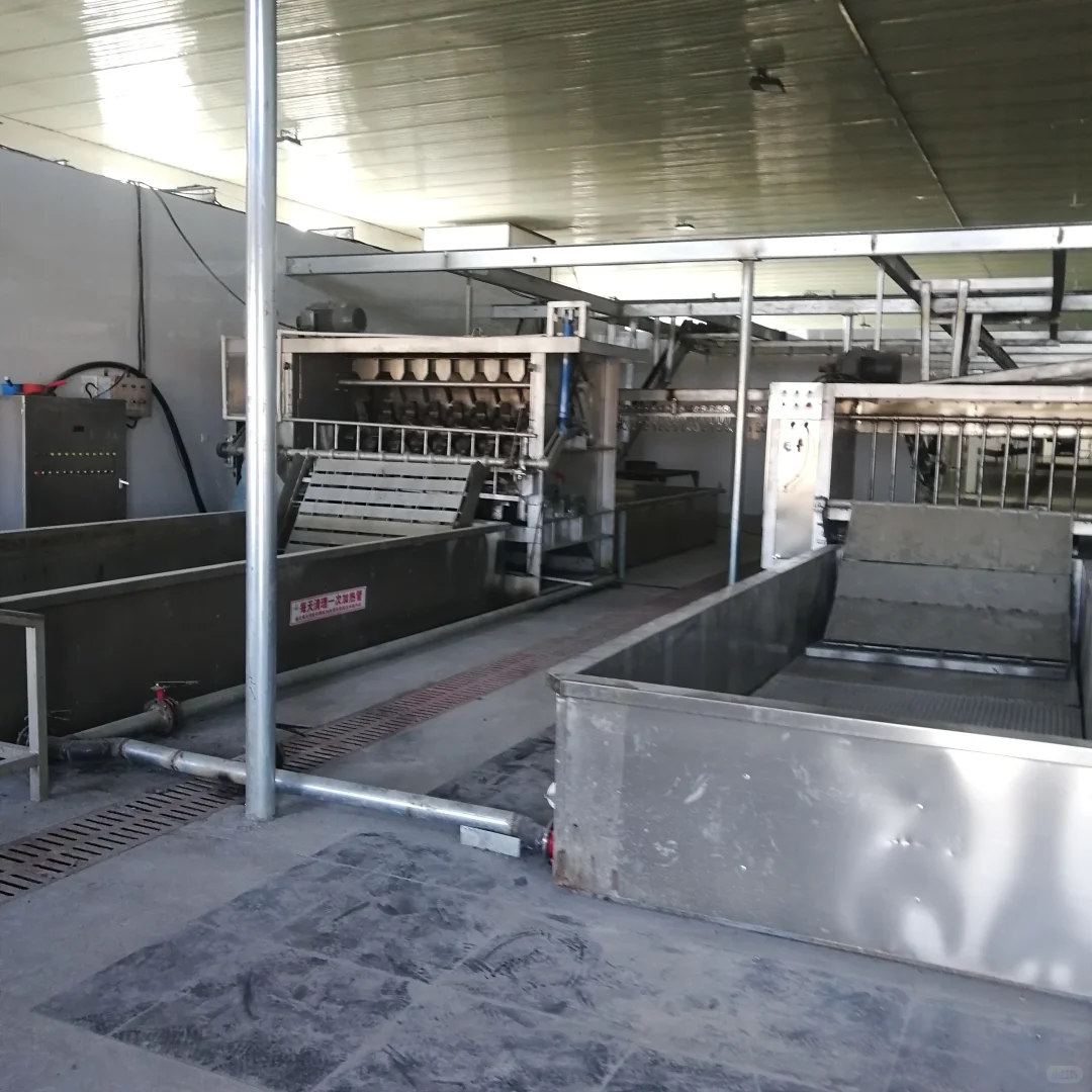 靠谱的牛屠宰设备口碑厂家