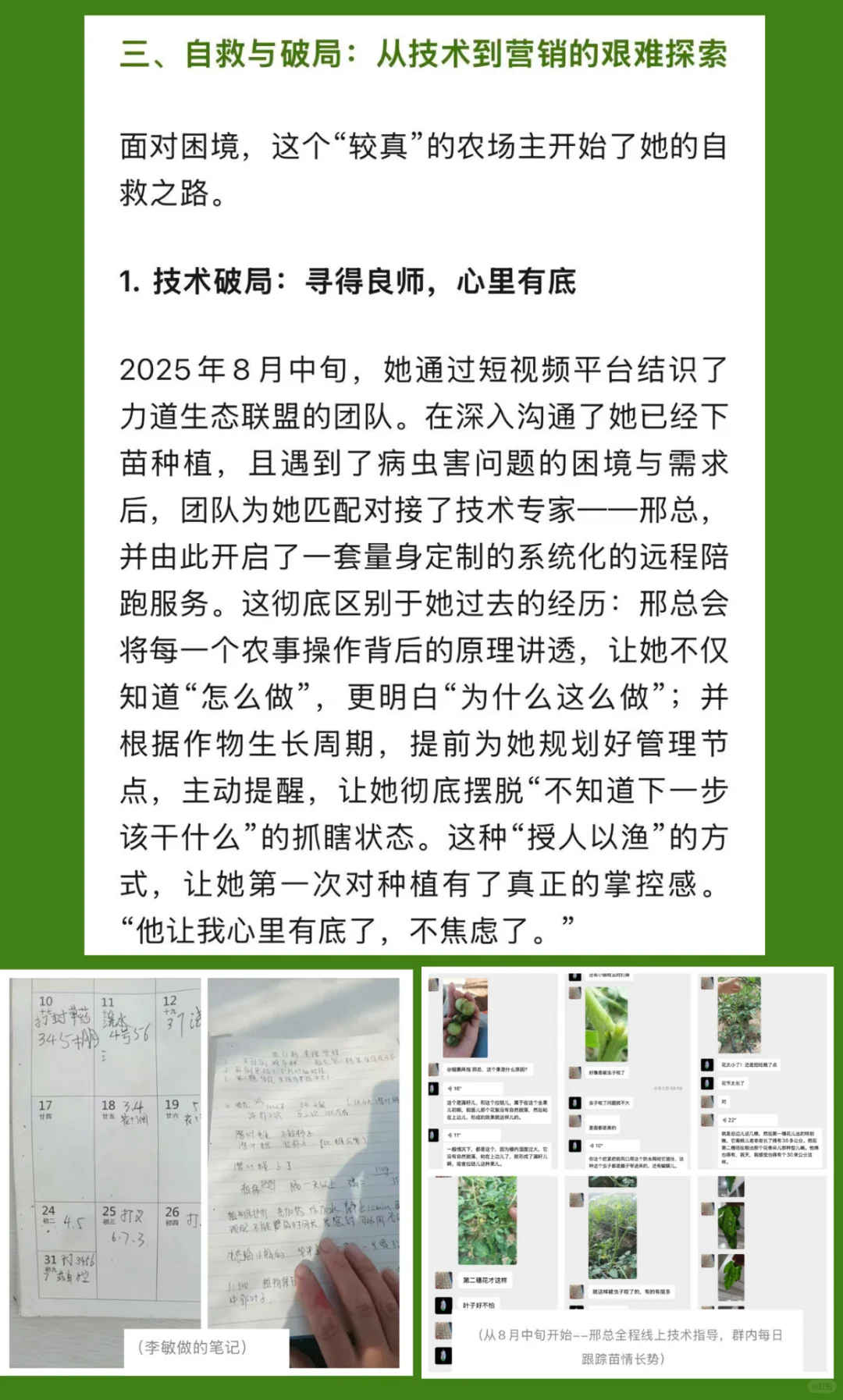 女生真的不能搞农场?她用90亩地打破偏见!