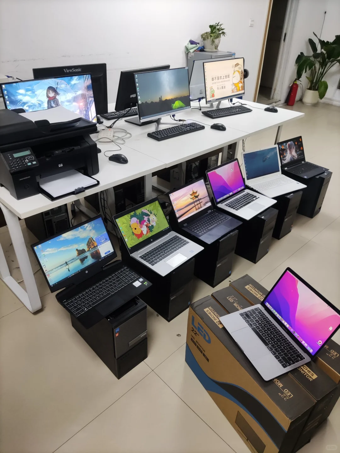 全不要了南阳自提