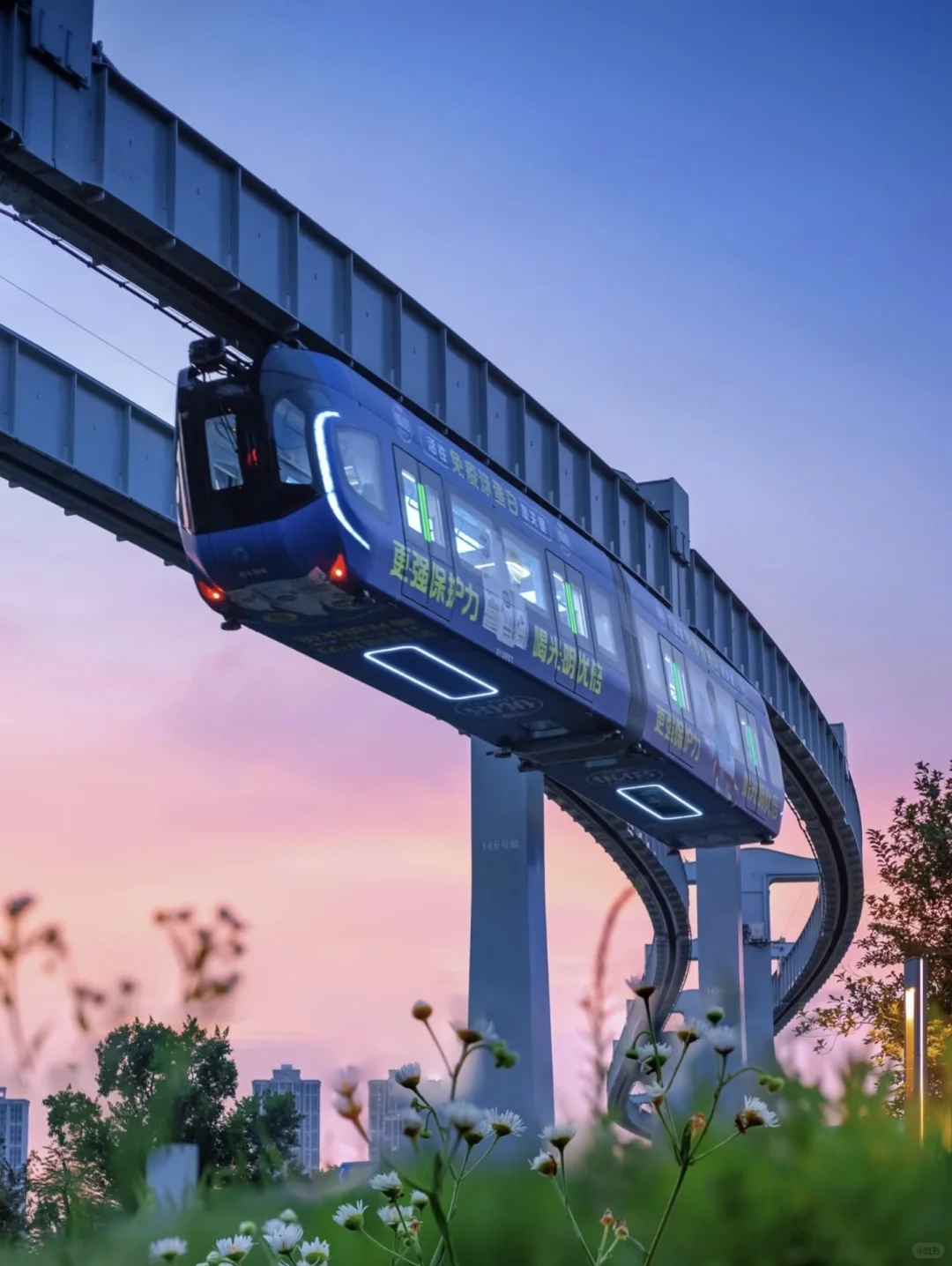 有关铁路运输的交通工具及注意事项