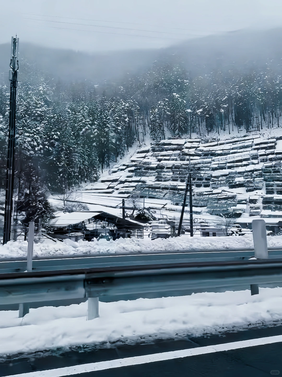 日本北海道包车现状！现在都这样了吗？