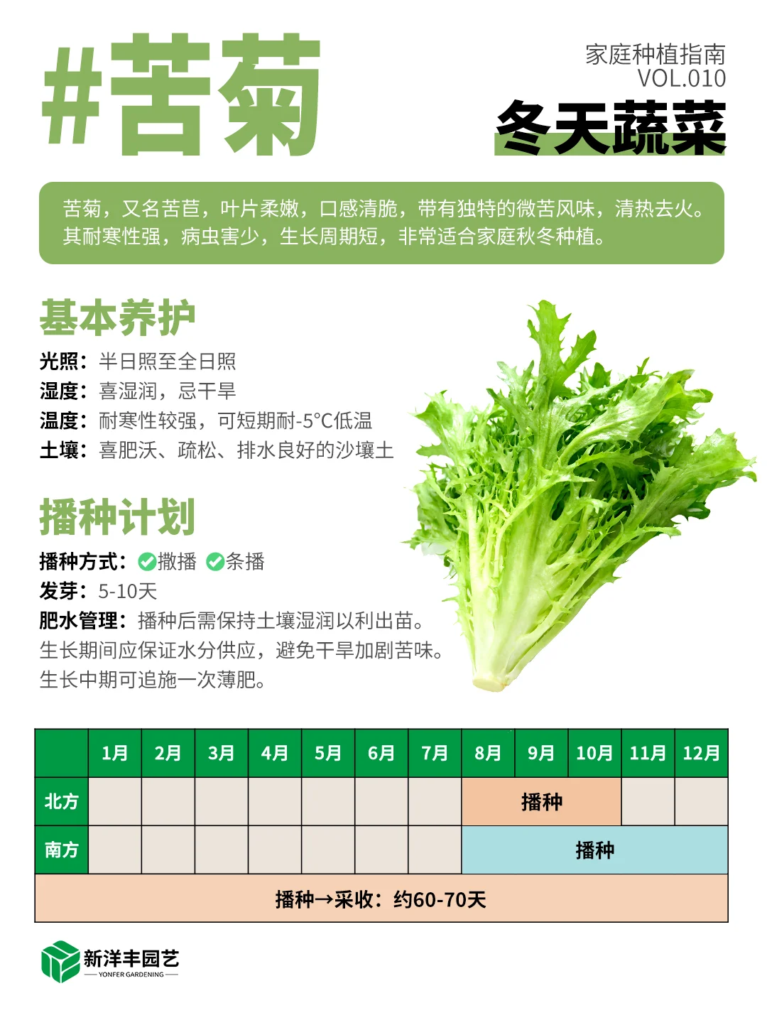冬天种什么蔬菜？都给你整理好了