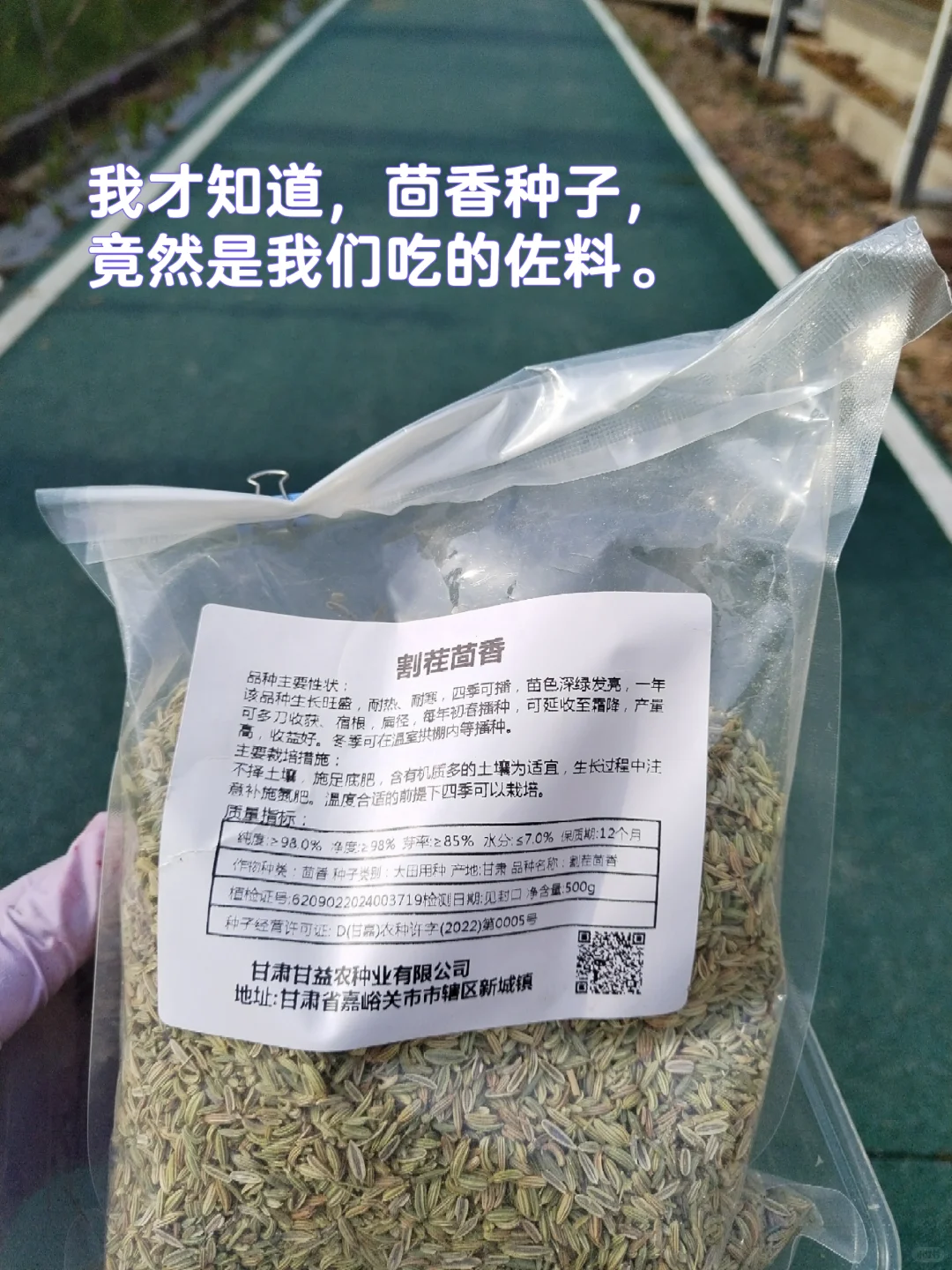 中年少女跨行农业种植基地工作第二十天