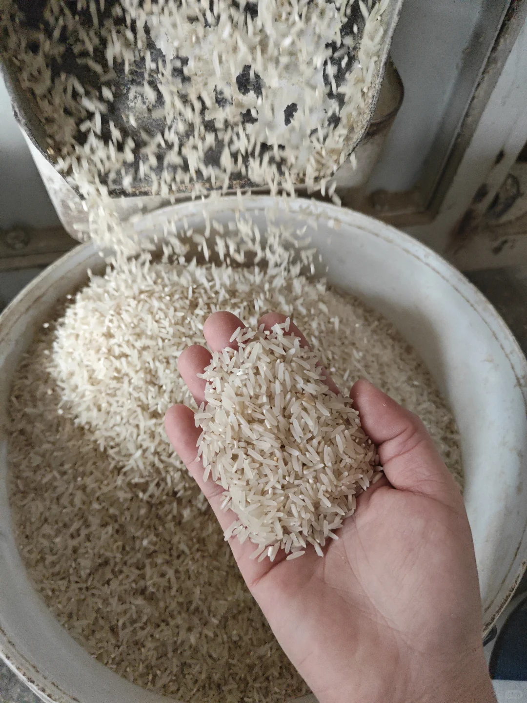 自家田间种的大米，无污染，纯绿色，不抛光