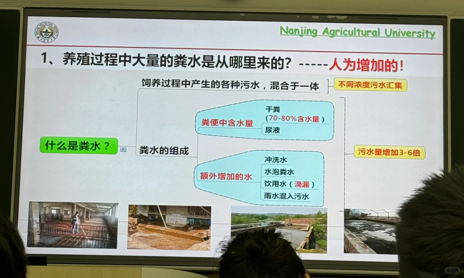 中国粪污资源利用化远超世界各国！！