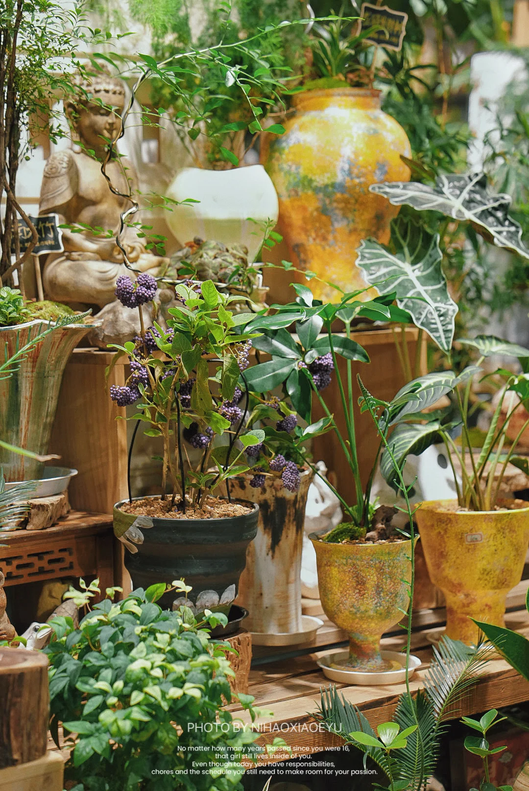 忙碌的周末? 今日零售破6000➕