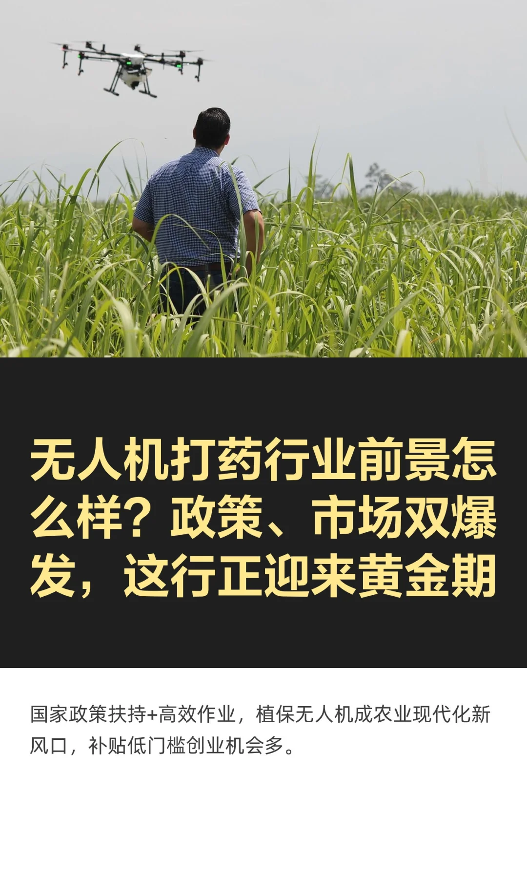 无人机打药行业前景怎么样？政策、市场双爆