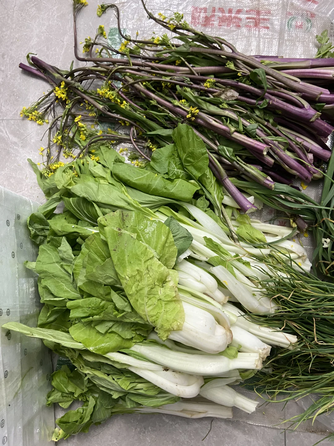 家庭种植有机蔬菜，可与湖北的朋友分享