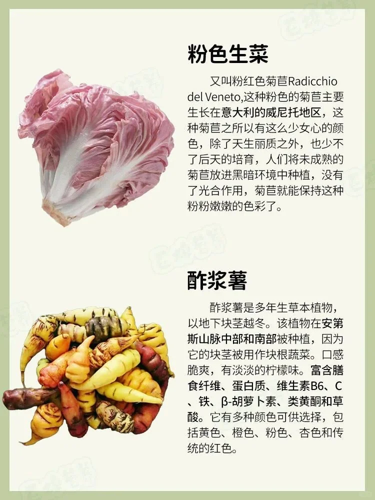 奇葩蔬菜，认识3种算你厉害！