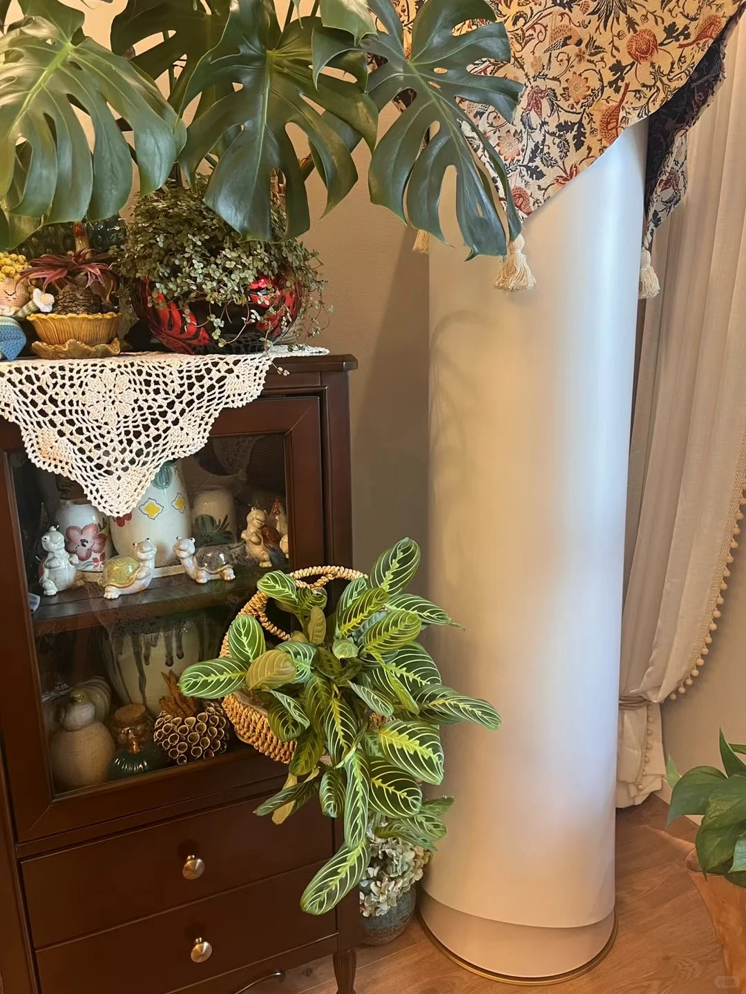 被植物环绕的家?植物治愈人心