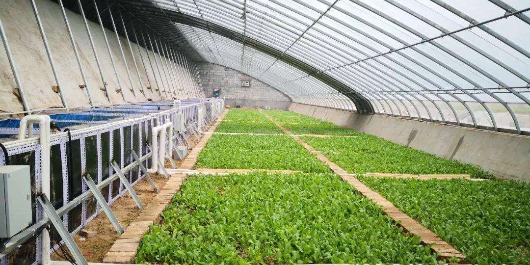 颠覆现有未来已来