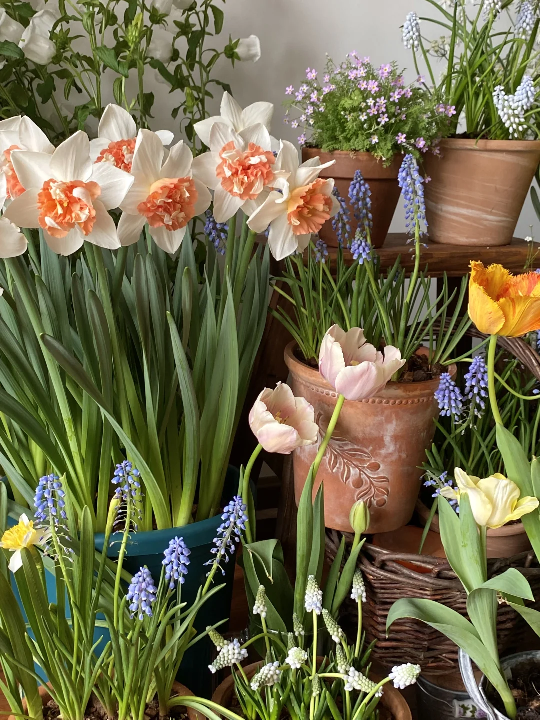 此时此刻我家???