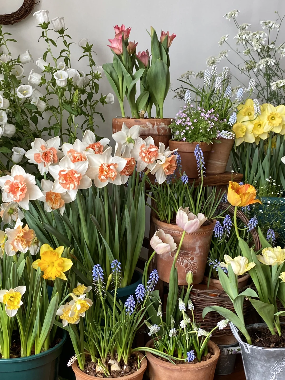 此时此刻我家???