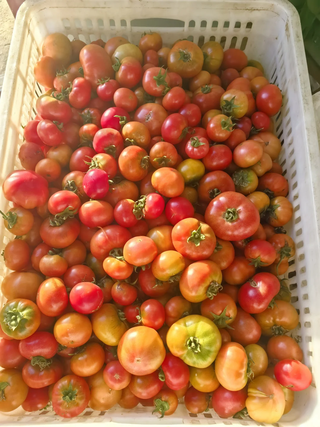 春天是播种的季节愿我们都能迎来丰收的喜悦