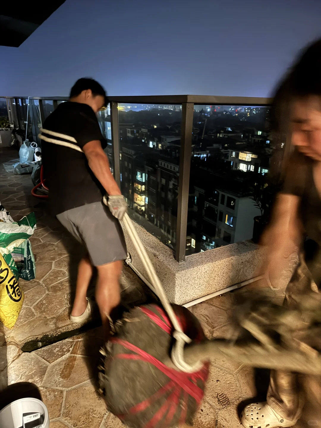 ?生活边角料｜买了棵树? 很重很头疼