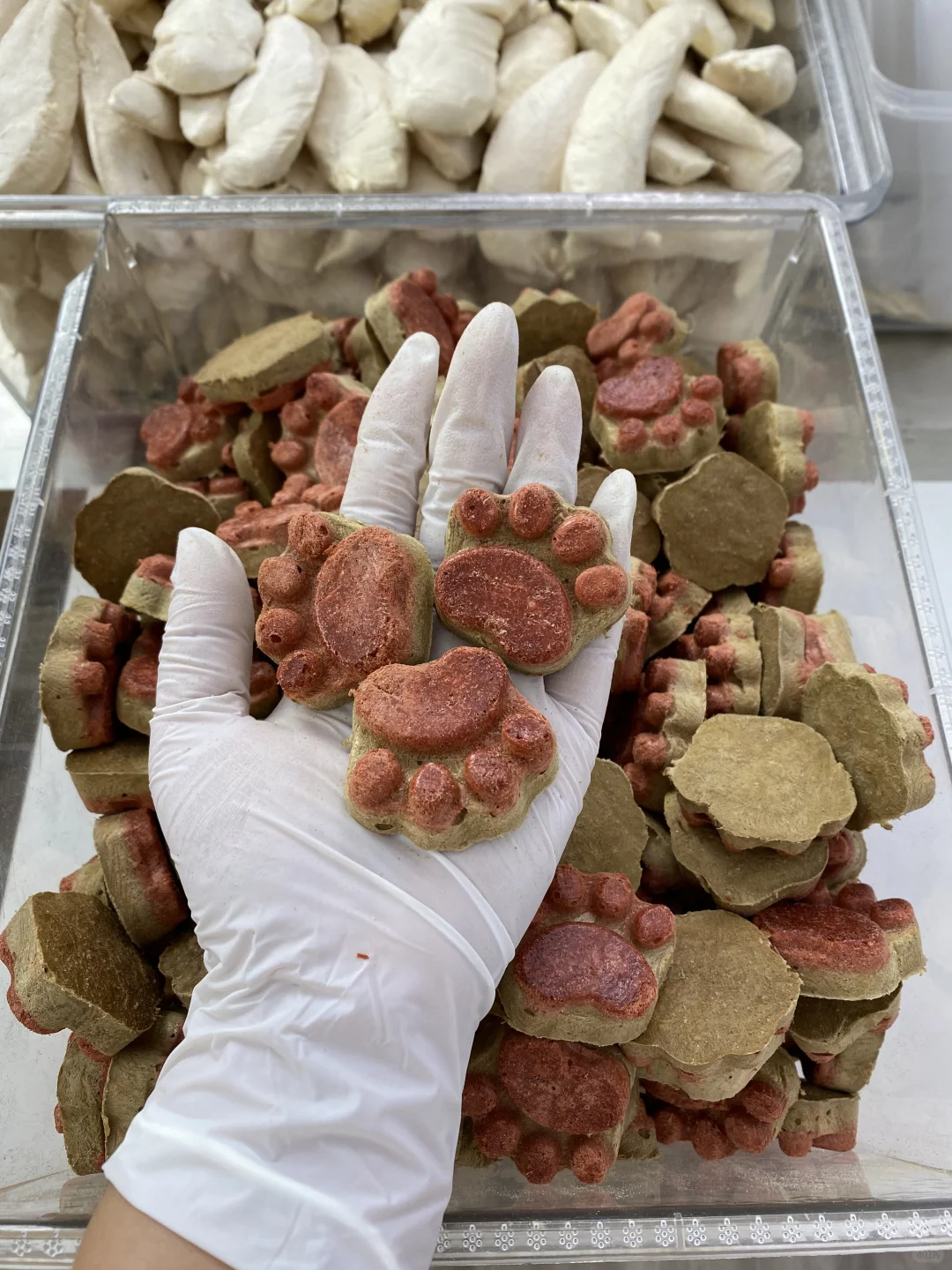 宠物冻干零食，工厂批发