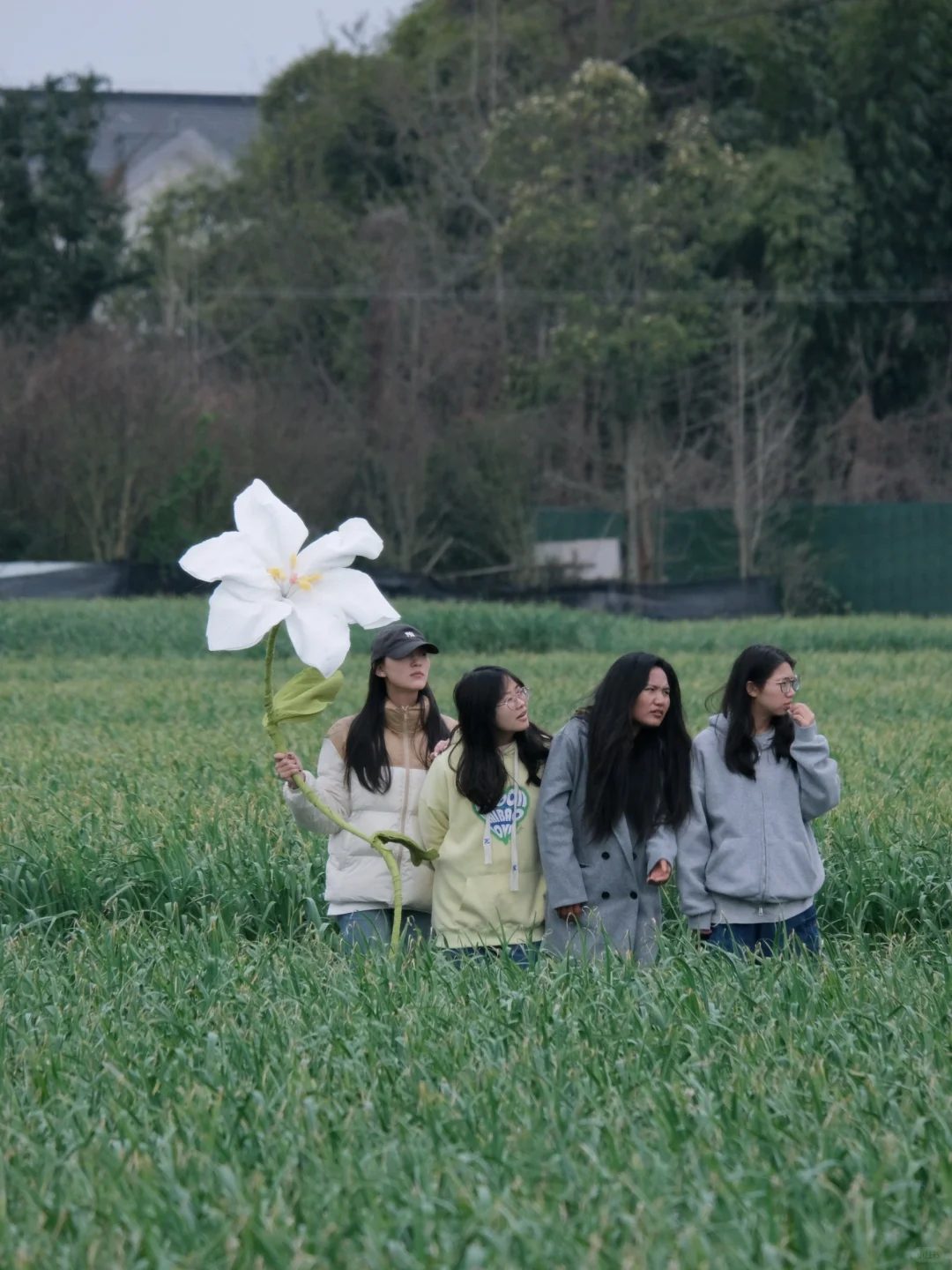 高山大蒜季 ｜ 青年共创，我们在乡村。