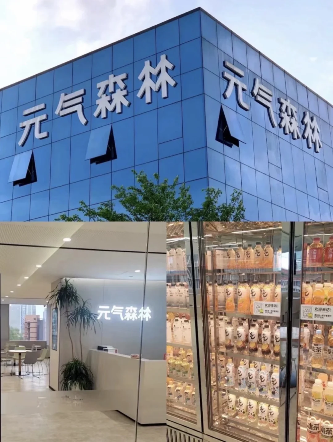 元气森林11月实习～?接受无经验