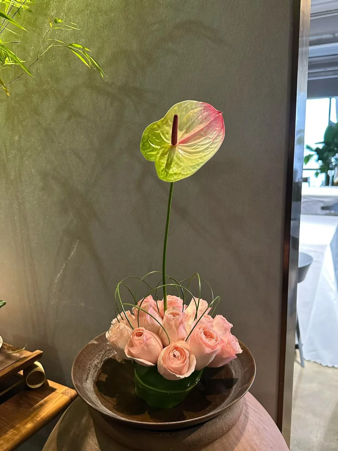 遇见美好的，一定不要错过