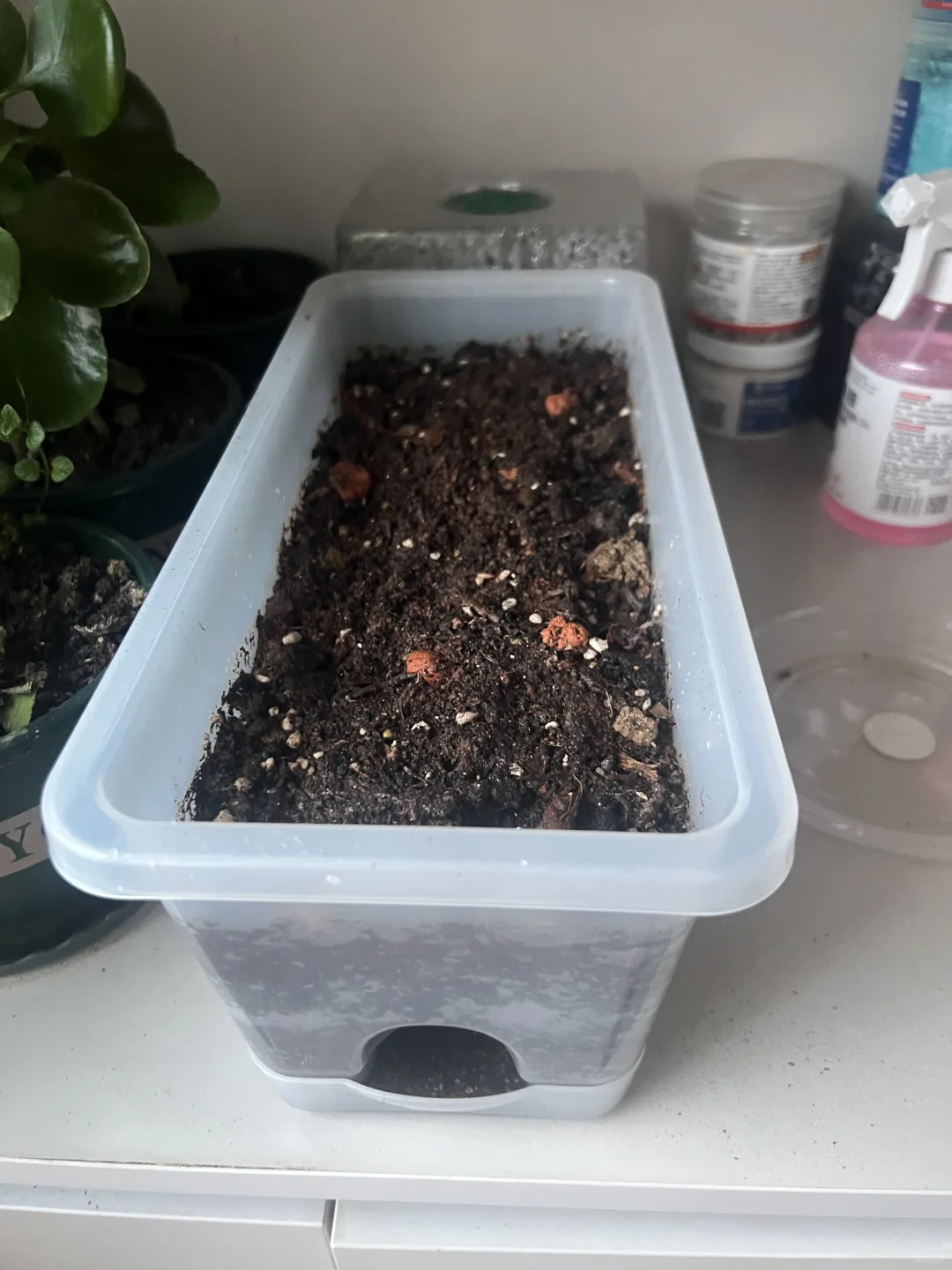 种花的土可以重复使用！！！