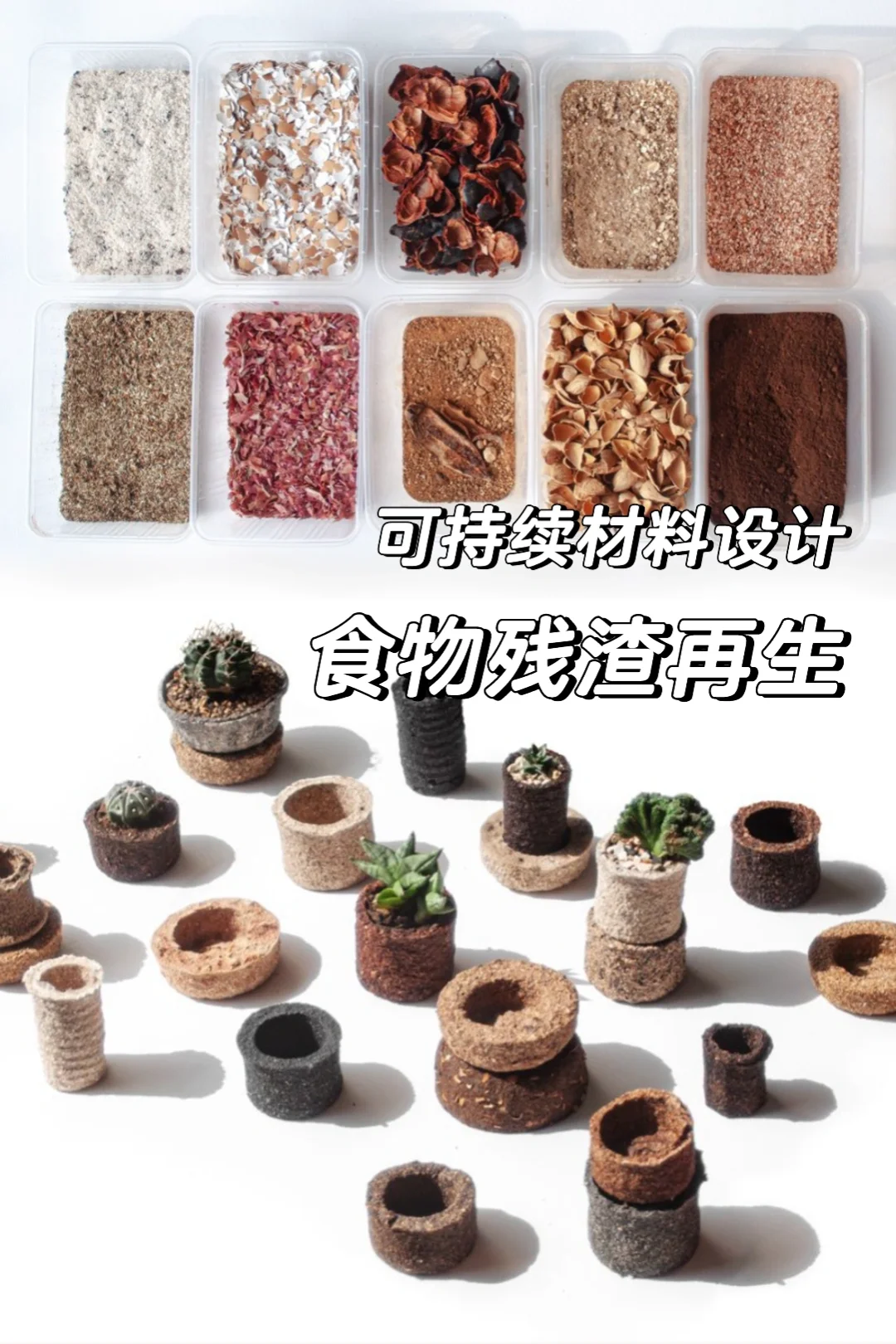 食物残渣的重生