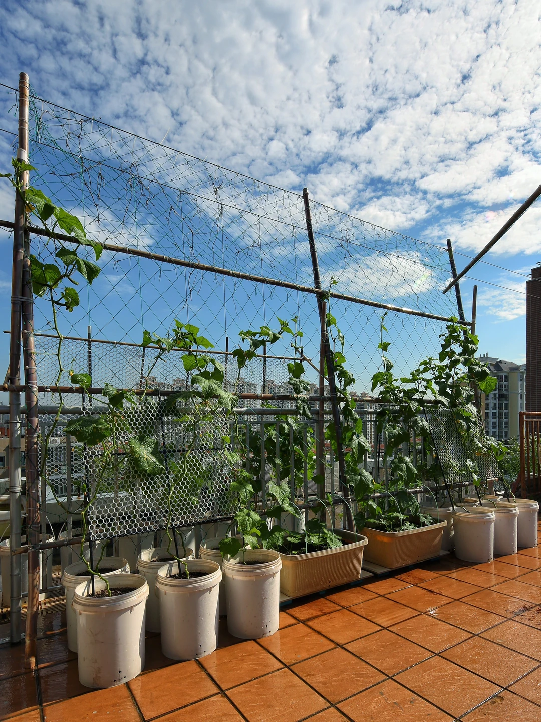 春天辛勤的播种，终于迎来收获满满的采收！