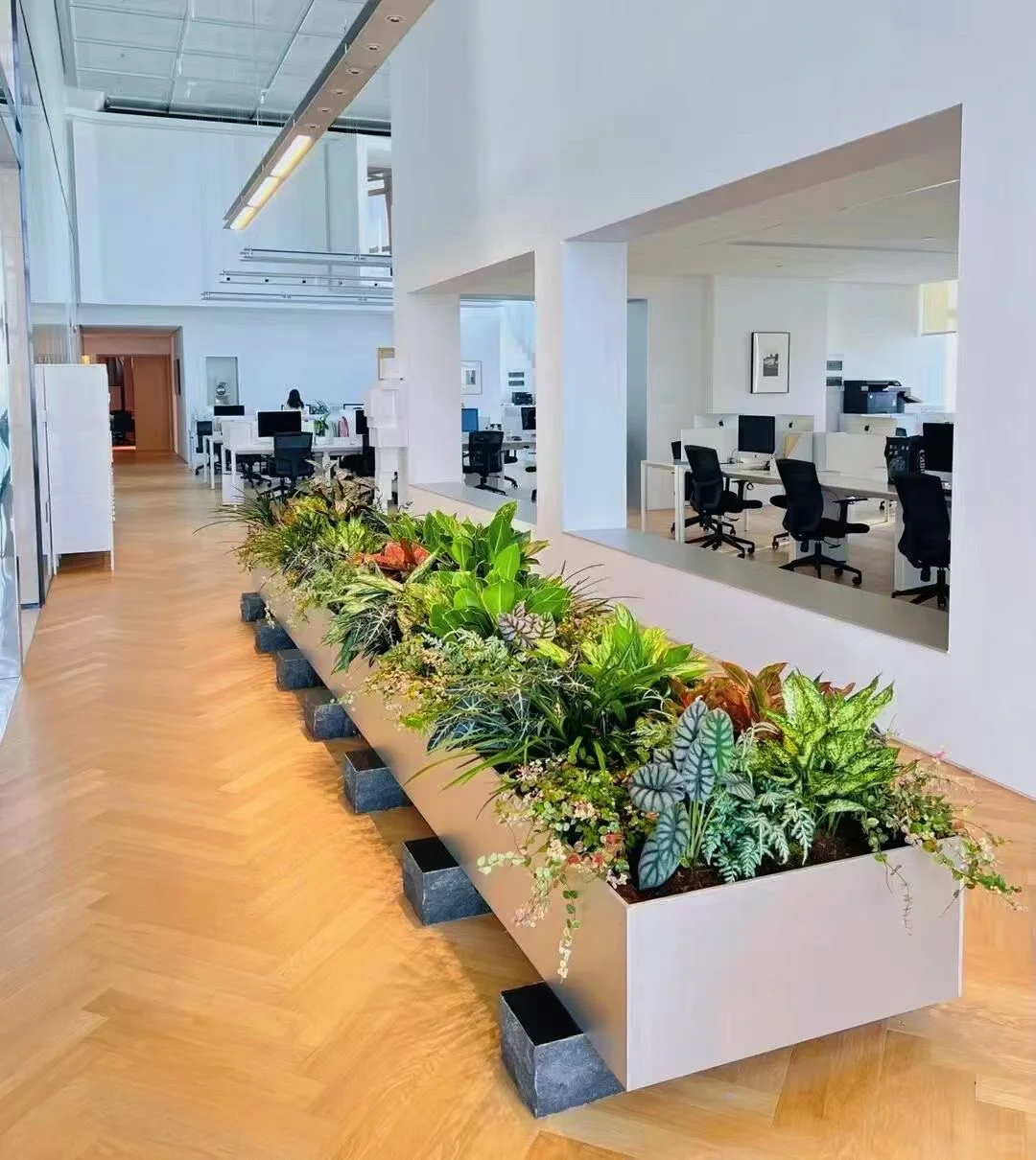 遇见美好的，一定不要错过