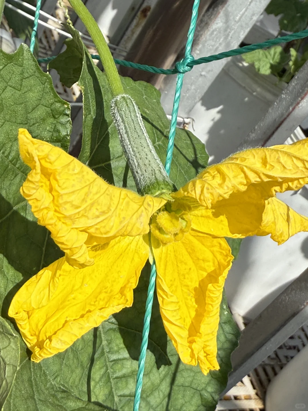 春天辛勤的播种，终于迎来收获满满的采收！