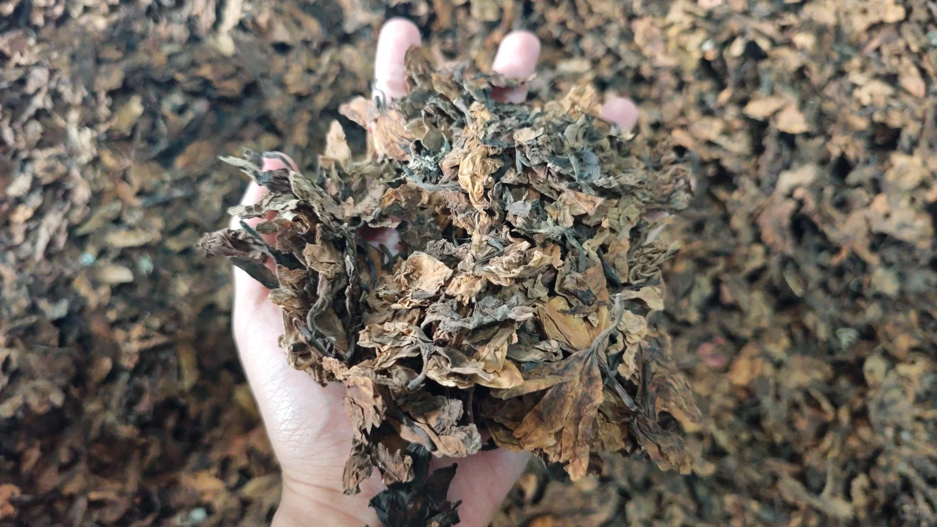 农产品初加工的心酸