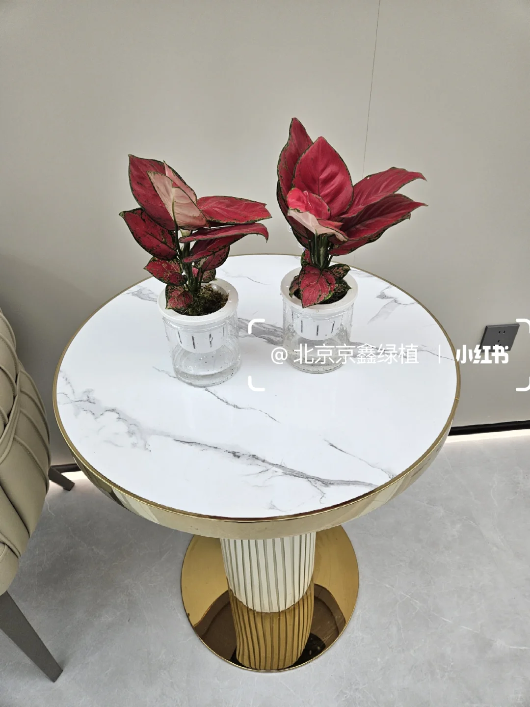 ?北京绿植租赁，绿植造景，绿植租摆