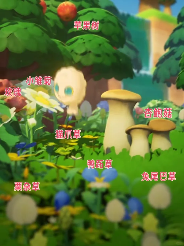 星布谷地PV植物大盘点