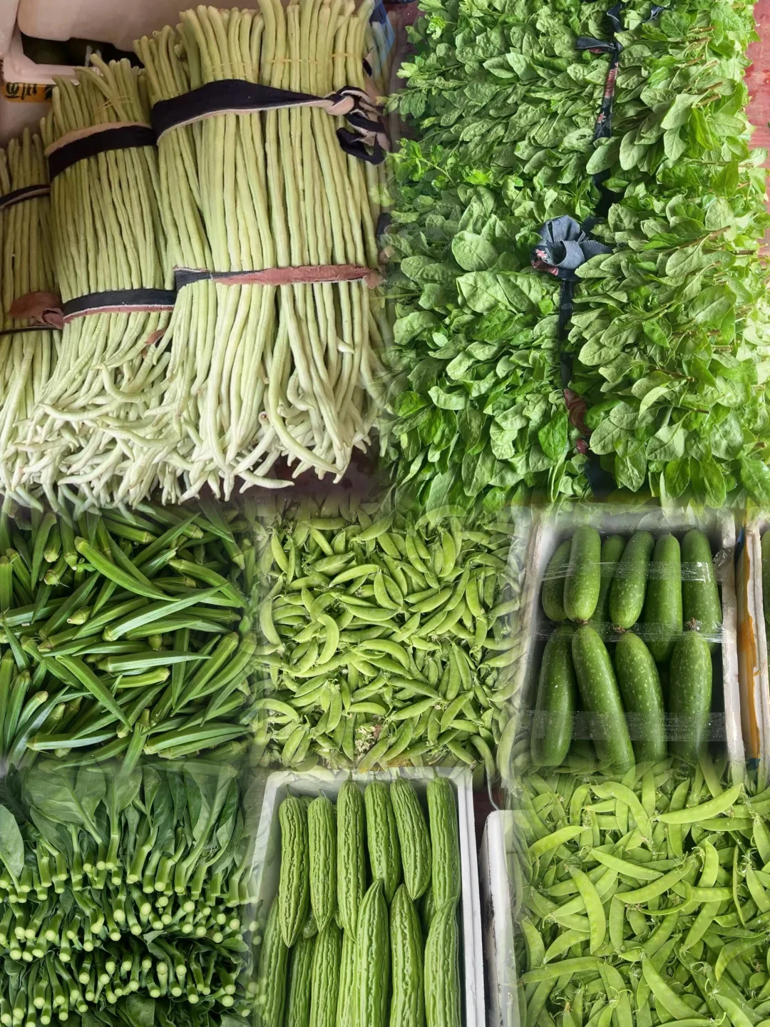 重生之90后辞职创业搞蔬菜批发?